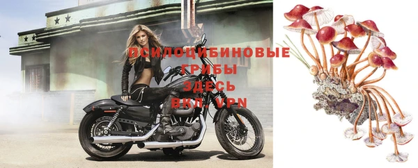 МДПВ Семилуки