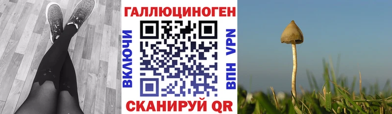 даркнет сайт  Нытва  darknet Telegram  Псилоцибиновые грибы ЛСД 